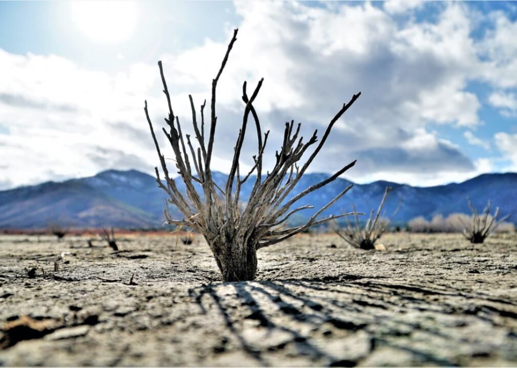 Droughts will be more frequent and more intense